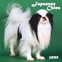 Japanese Chin 2009 Square Wall Calendar