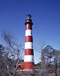 Lighthouse on Assateague Island, Virginia - Vivid 16x20-inch Photographic Print by Carol M. Highsmith