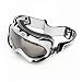All Products : Scott Ransom Goggles - Adult