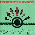 jump cut to : Synchronously Swimming Sleek, Glistening Jellyfish Prostitutes Undulating to the Savage Pagan Bongo Rhythms of a HotelExtravaganza of Break-dancing Bornean Headhunting Gangbangers out on