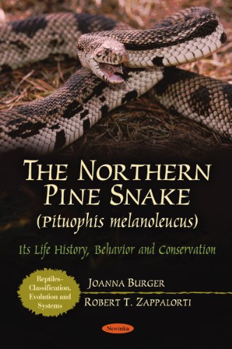 the northern pine snake pituophis melanoleucus its life history behavior and conservation reptiles classificaton
