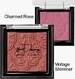 Avon Jillian Dempsey for AVON Retro Rouge Charmed Rose