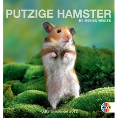 Putzige Hamster 2012. Postkartenkalender