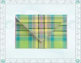 Baekgaard Genuine Leather Envelope Case by Vera Bradley-Tartan Brights Apple Green