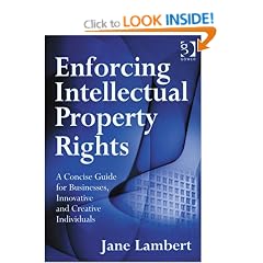 Enforcing Intellectual Property Rights: A Concise Guide for Businesses, Innovative and Creative Individuals