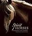 Spirit Horses