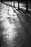 IMAGE OF Wallmonkeys Peel and Stick Wall Decals - Sunlight Reflecting on Wet Road - 18