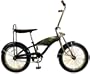 Schwinn El Dorado Boy's Stingray Bike