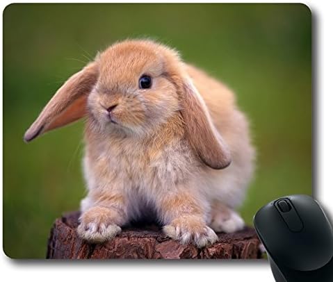 HOHOLALAY Bunny on a Tree Trunk Rectangle Gaming Mouse Pad,Mousepad,Mouse Mat