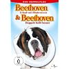 Beethoven - Urlaub mit Hindernissen & Beethoven - Doppelt bellt besser [2 DVDs]