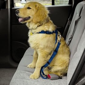 SMALL / MEDIUM - BLUE - Dog Car/Truck Safety Harness - Adjustable Nylon Web with Quick Release Buckles