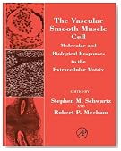 The Vascular Smooth Muscle Cell: Molecular and Biological Responses to the Extracellular Matrix