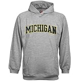 Nike Michigan Wolverines Ash Juvenile Classic Hoody Sweatshirt