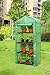 High Quality Portable Greenhouse W/shelves, Green House New