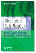 Biological Calcification: Normal and Pathological Processes in the Early Stages