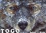 Togo