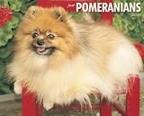 Just Pomeranians 2009 Calendar (Just)