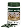 CALCIUM + MAGNESIUM Presslinge 400 St�ck