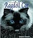 The Friendly Floppy Ragdoll Cat