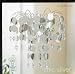 New "Chic" Silver Ceiling Light Chandelier