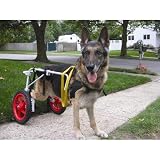 Dog Wheelchair Size: X-Small (15" H x 8" W x 4" D)