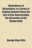 Illustrations of Dissections; In a Series of Original Colored Plates the Size of Life, Representing the Dissection of the Human Body