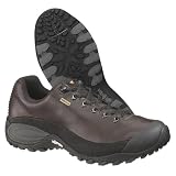 Merrell Shoes Men's Chameleon Trek GORE-TEX Shoe