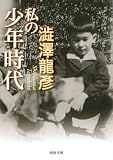 私の少年時代 (河出文庫)