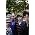 Thumbnail image of OK Go
