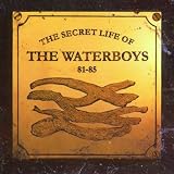 1981-1985 Secret Life Ofby Waterboys