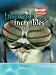 Insectos increibles / Incredib...