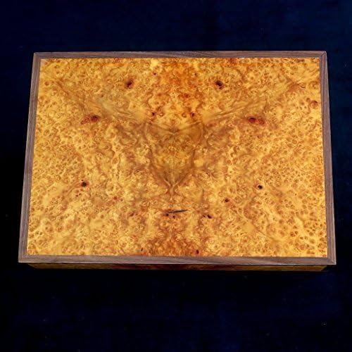 "Falcon's Wrath" Humidor