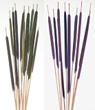 Cattail Stems Measure 41 in. Tall, Tail Itself Measures 9 - 10 in., Sold in package of 10 - Various Colors - $12.99