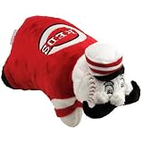 MLB Cincinnati Reds Mini Mascot Pillow Pet