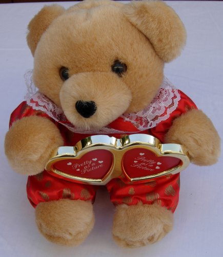 51oFJ8NT5iL Small Brown Teddy Bear with a Pretty As a Picture Sign   stuffed animal
