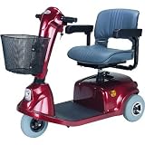 Economy Three Wheel Scooter Color: Silver