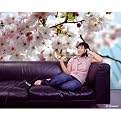 Spring Wall Mural
