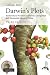 Books : Darwin's Plots: Evolutionary Narrative in Darwin, George Eliot and Nineteenth Century Fiction
