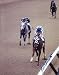 RON TURCOTTE signed *SECRETARIAT* HORSE RACING 8X10 2A - Autographed Sports Photos