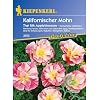 Kiepenkerl Kalifornischer Mohn Esch. Thai Silk Appleblossom