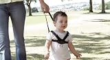 Lindam Harness and Reins
