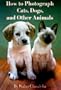 How to Photograph Cats, Dogs, and Other Animals