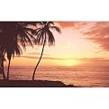 Hawaiian Sunset Wall Mural - 8'3