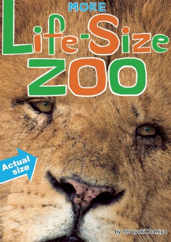 More Life-Size Zoo: An All-New Actual-Size Animal Encyclopedia More Life-Size Zoo: An All-New Actual-Size Animal Encyclopedia