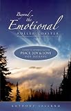 Beyond the Emotional Roller Coaster: A Guide to Experiencing the Peace, Joy & Love You Deserve