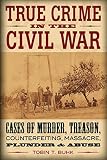 True crime in the Civil War : cases of murder, treason, counterfeiting, massacre, plunder, & abuse