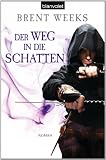 Der Weg in die Schatten: Roman