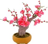 光触媒アート盆栽･梅(赤) UME-02 UME