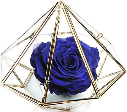 Diamond Glass Hanabusa Never Withered Roses, Upscale Immortal Flowers, Fresh Roses, Flowers, Gift Boxes, Gift Ideas (blue)