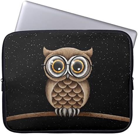 Eratio Cute Fluffy Brown Owl with Reading Glasses Laptop Sleeve 13 Inch Macbook Air Case Macbook Pro Sleeve and 13 Inch Laptop Bag